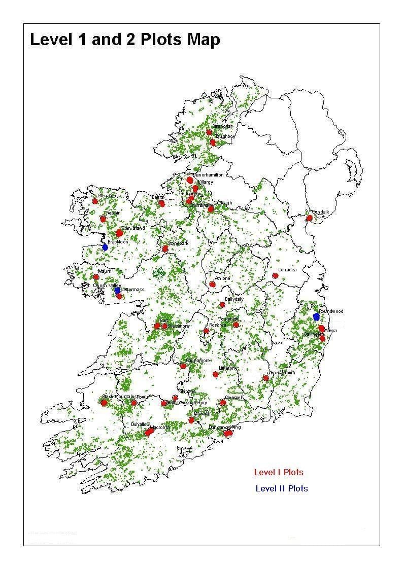 peta dari irlandia hutan